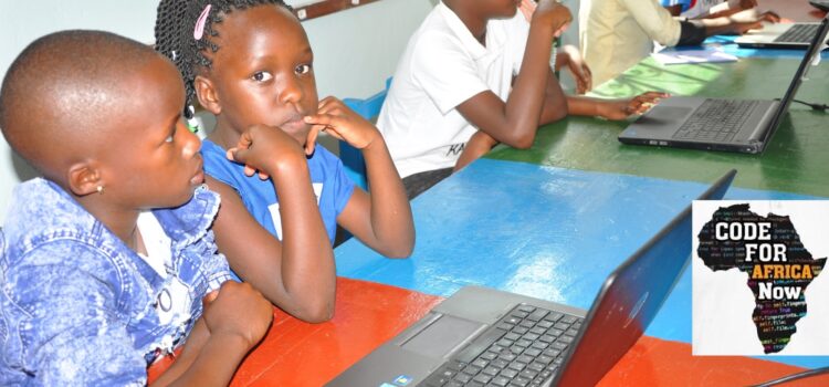 Empowering Africa in the Age of the 4IR through Digital Literacy